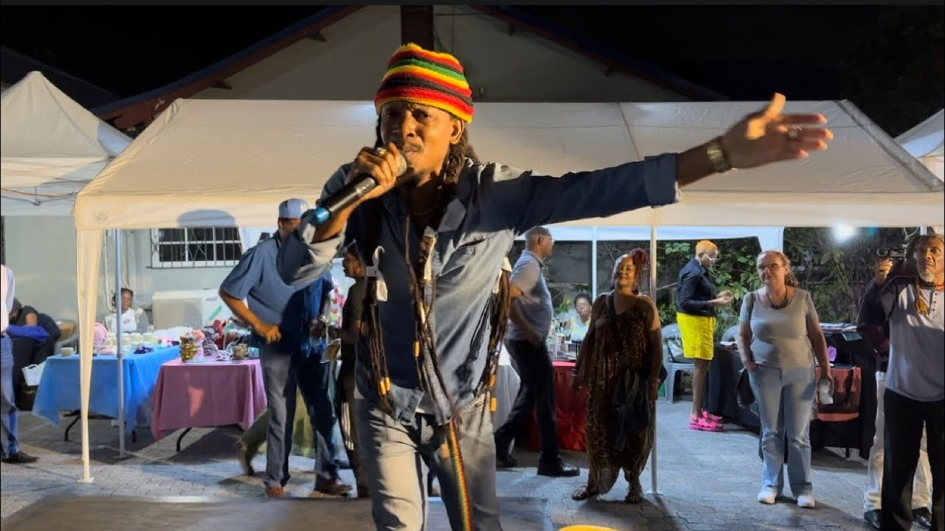 Nature Ellis - Kingston Night Market Jan 2024